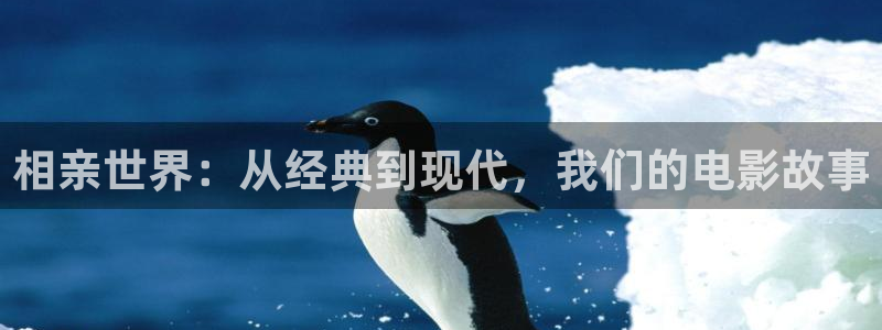 电影樱花视频在线观看