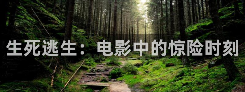樱花影院在线观看高清电视剧免费