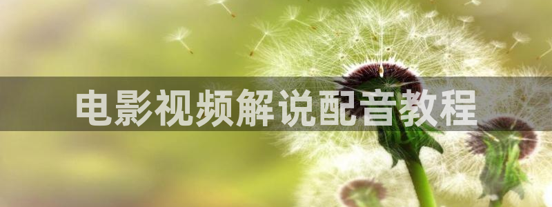 樱花视频最新地址