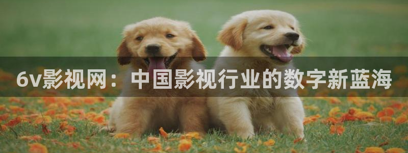 樱花视频logo