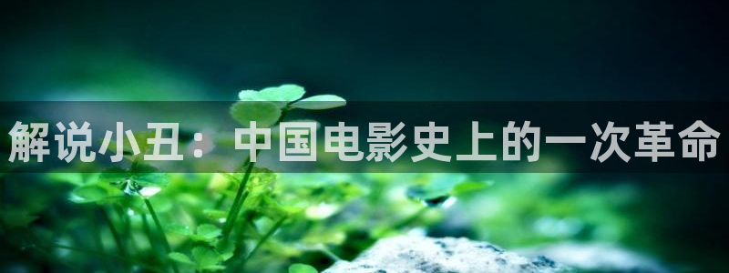 樱花影视一区二区