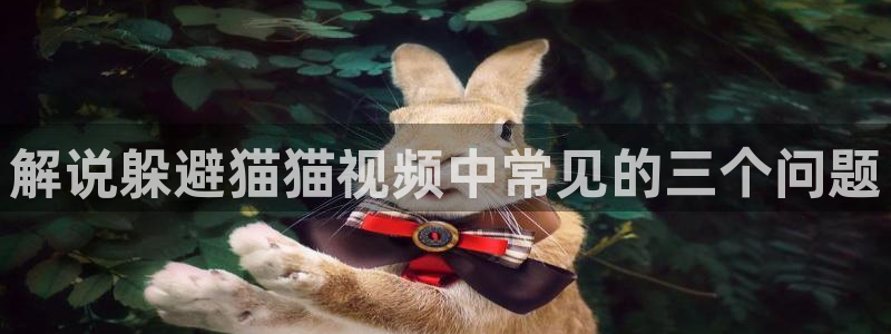 樱花视频成人