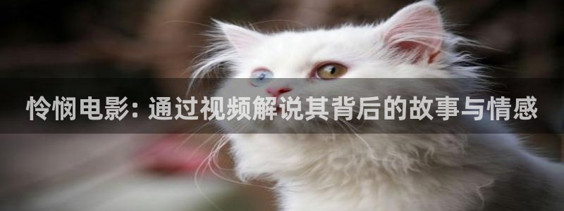 樱花视频下载