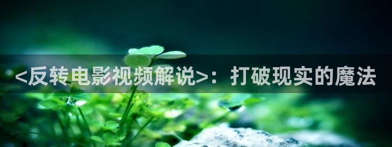 樱花视频导航