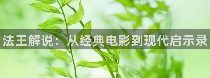 樱花影视