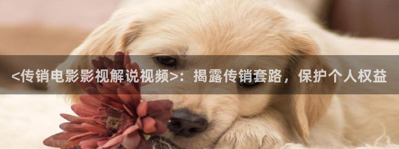 樱花视频了