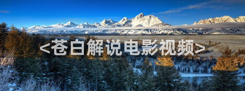 樱花影院国产二区