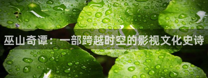樱花视频免费版高清在线观看