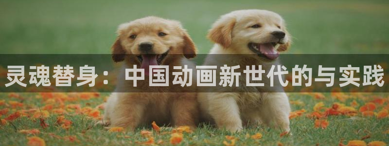 9樱花视频