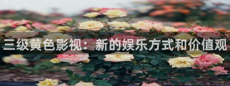 樱花影院电视剧免费播放