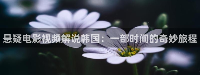 樱花视频在线观看高清