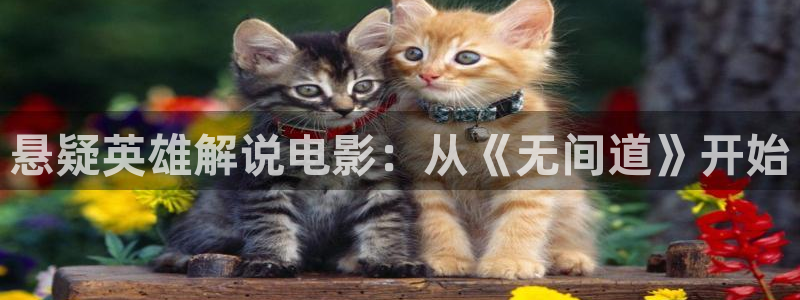 艳母樱花视频