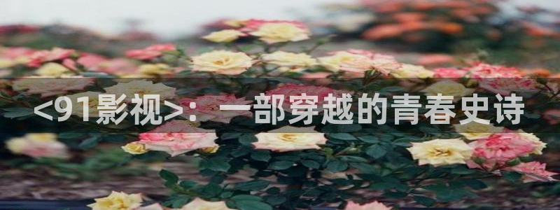 樱花视频最新版