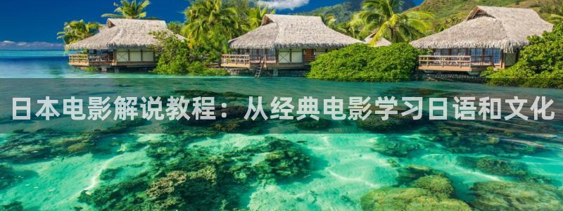 樱花影院在线观看高清电视剧免费