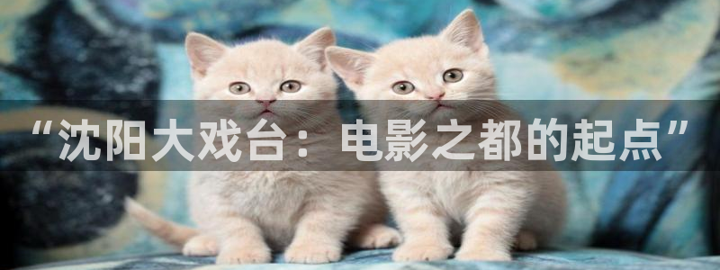 樱花视频号