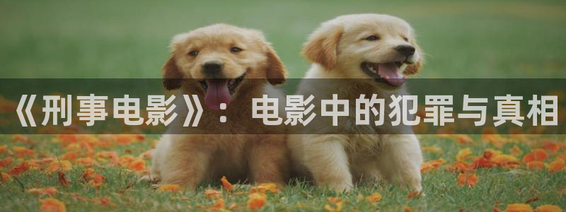 进去里樱花视频
