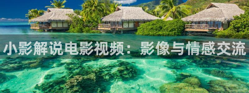 樱花视频大全免费