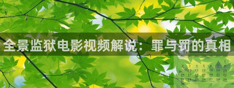 樱花视频www.